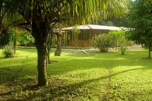 Turtle Beach Lodge Tortuguero Exterior photo